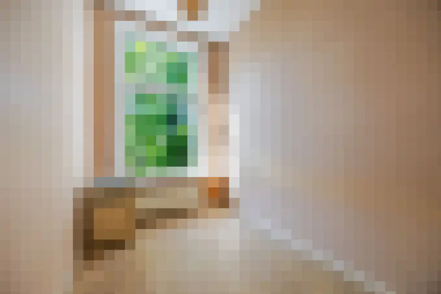 Leeuwendaallaan 95 Rijswijk thumbnail 38
