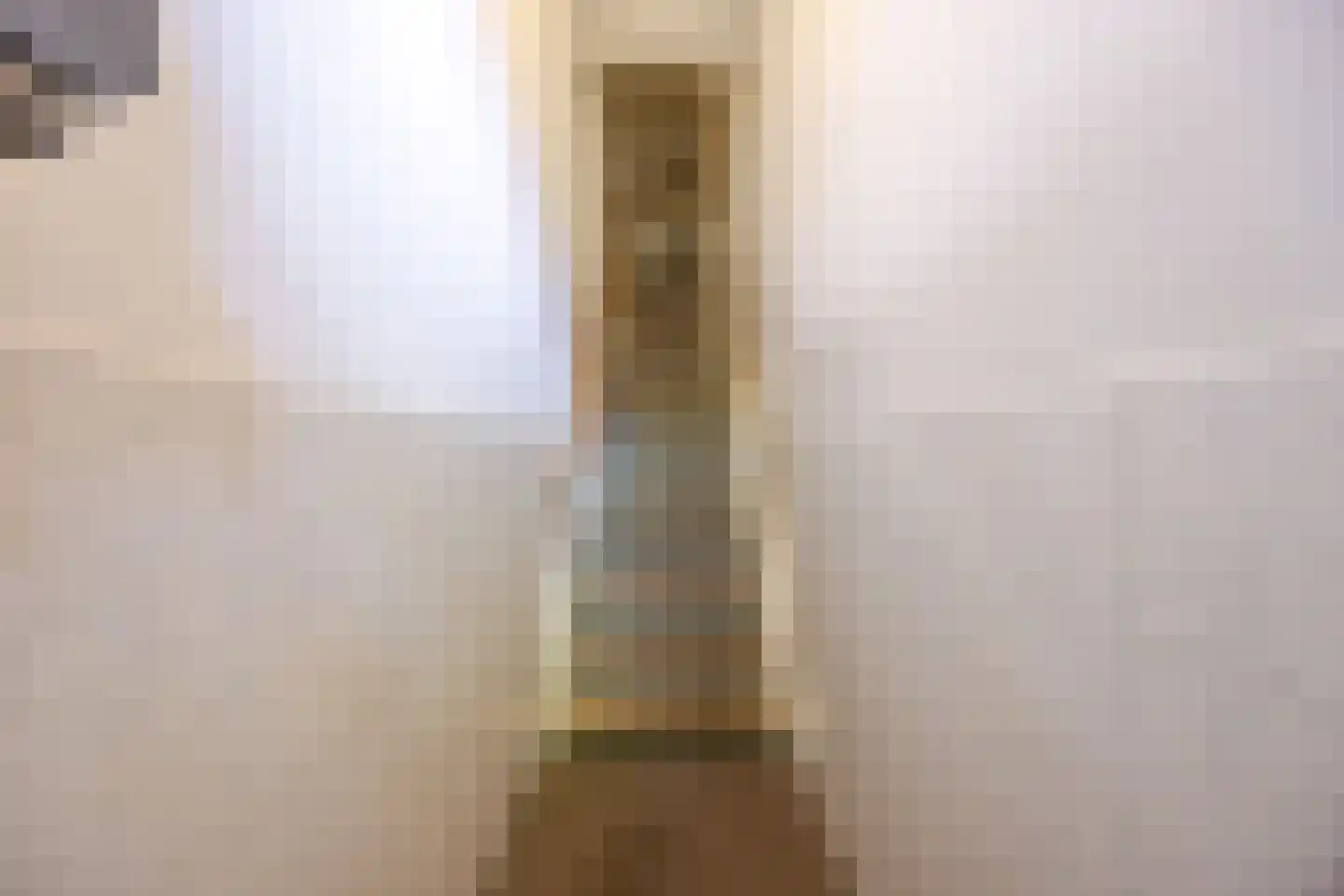 Leeuwendaallaan 95 Rijswijk thumbnail 39