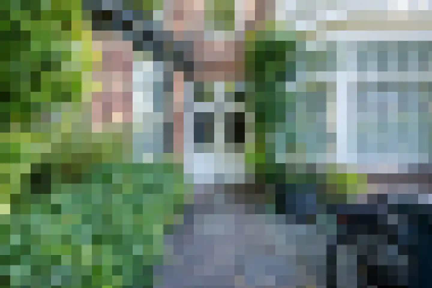 Leeuwendaallaan 95 Rijswijk thumbnail 41