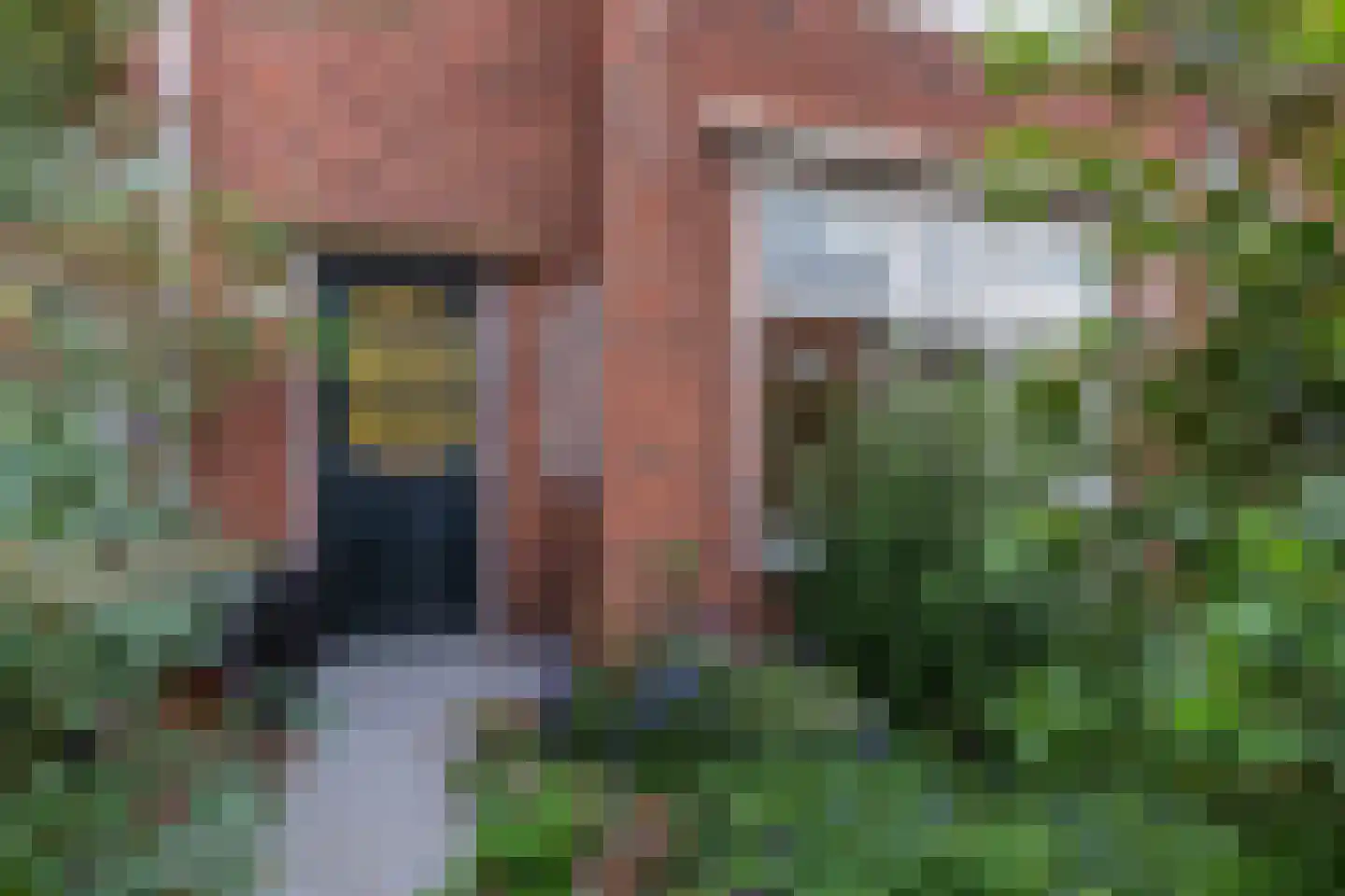 Leeuwendalersstraat 13 Haarlem thumbnail 28