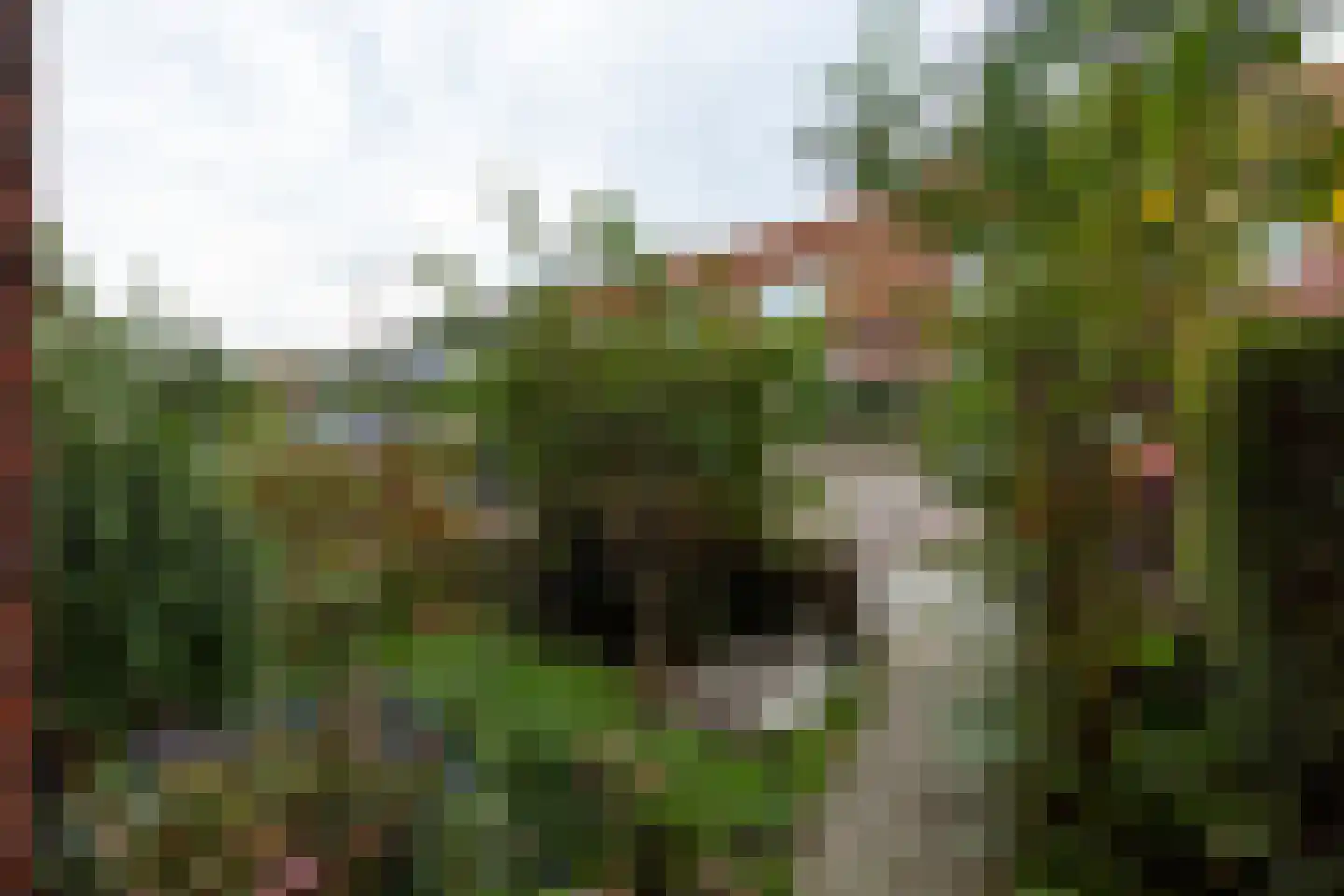 Leeuwendalersstraat 13 Haarlem thumbnail 29