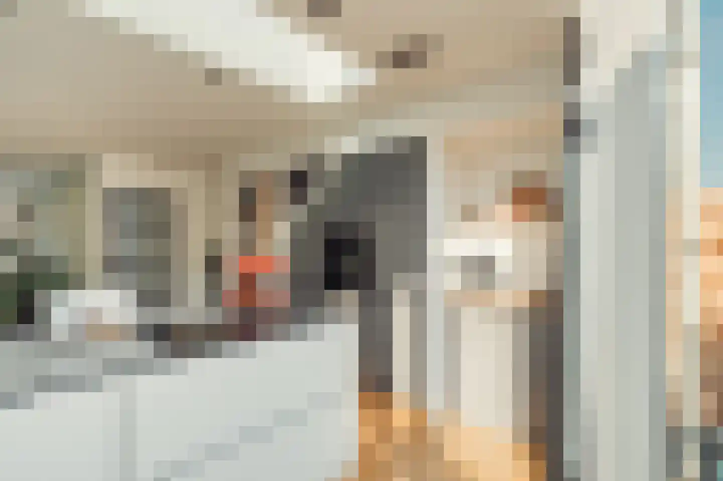 Leeuwendalersstraat 23 Haarlem thumbnail 11