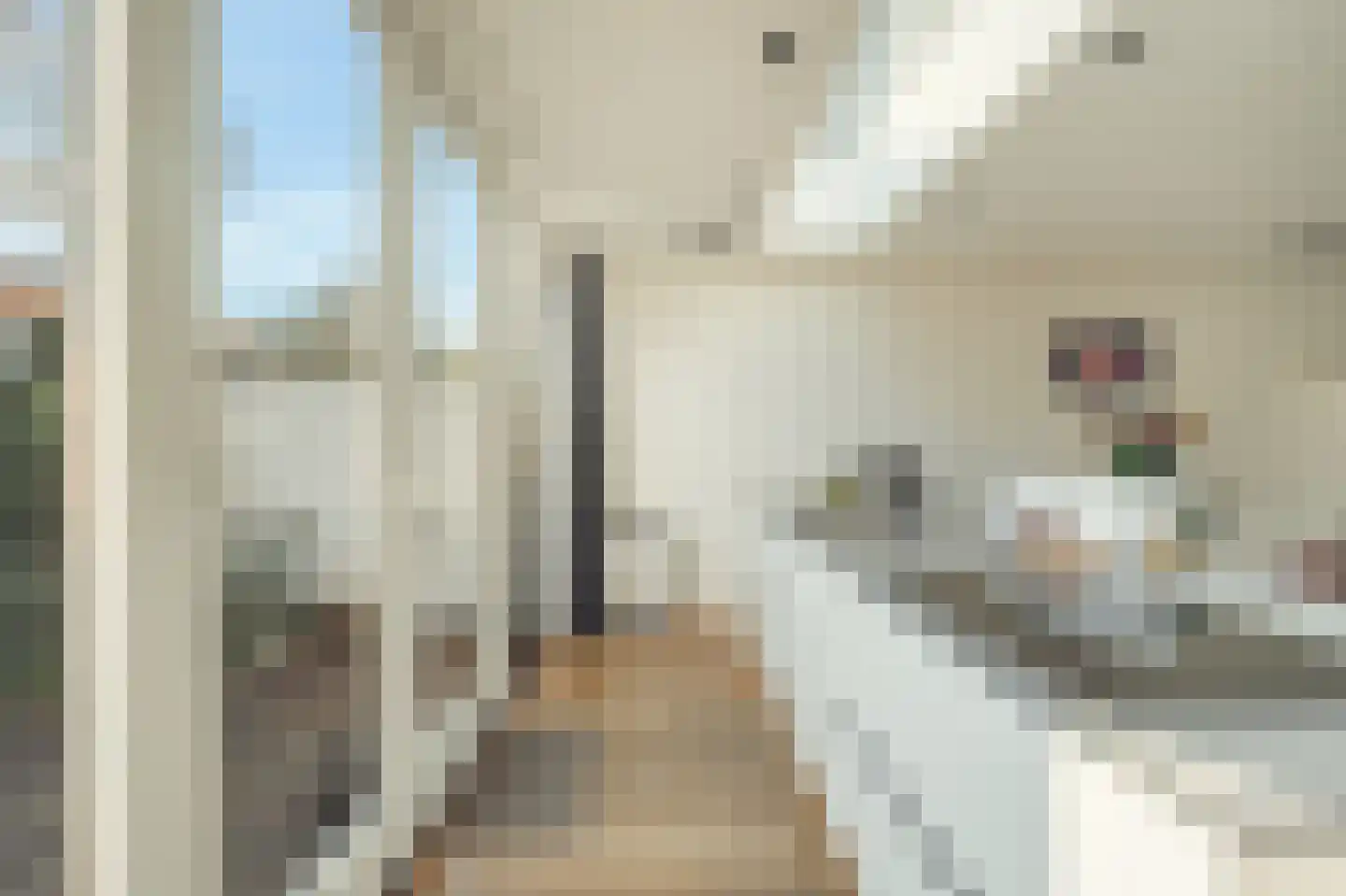 Leeuwendalersstraat 23 Haarlem thumbnail 12