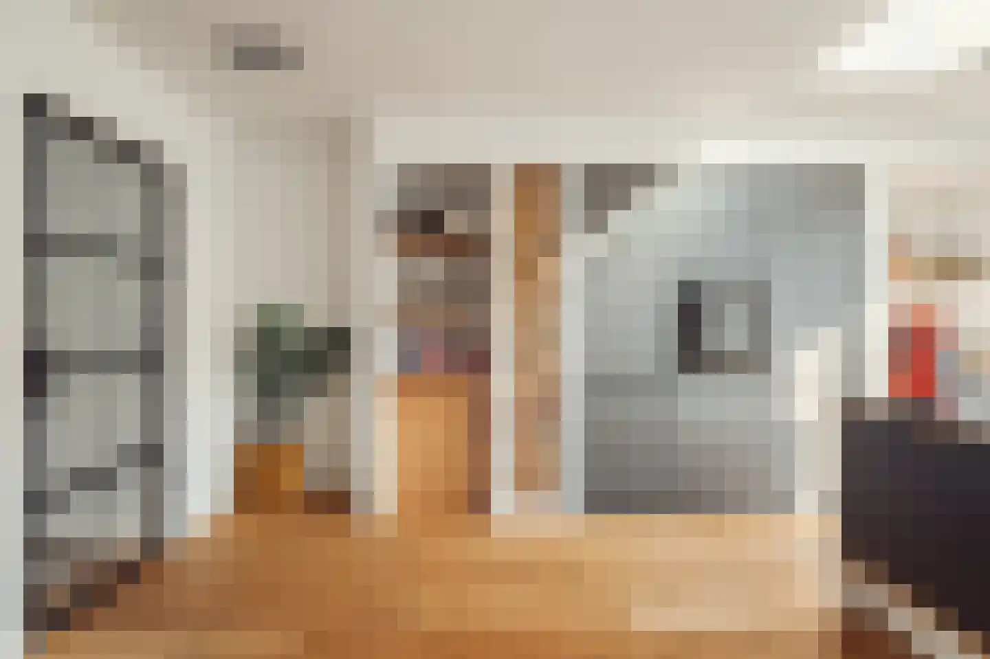 Leeuwendalersstraat 23 Haarlem thumbnail 20