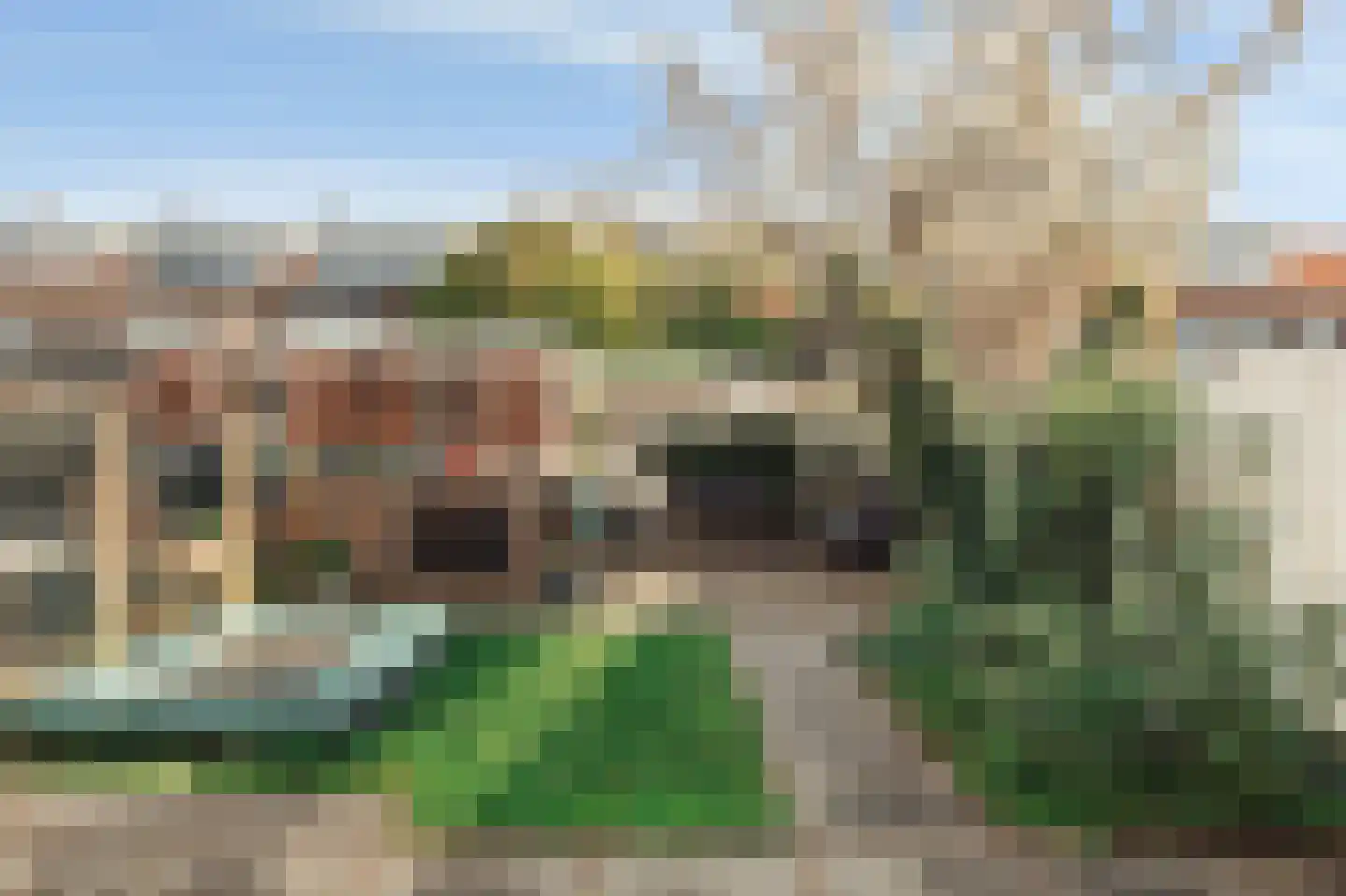 Leeuwendalersstraat 23 Haarlem thumbnail 4