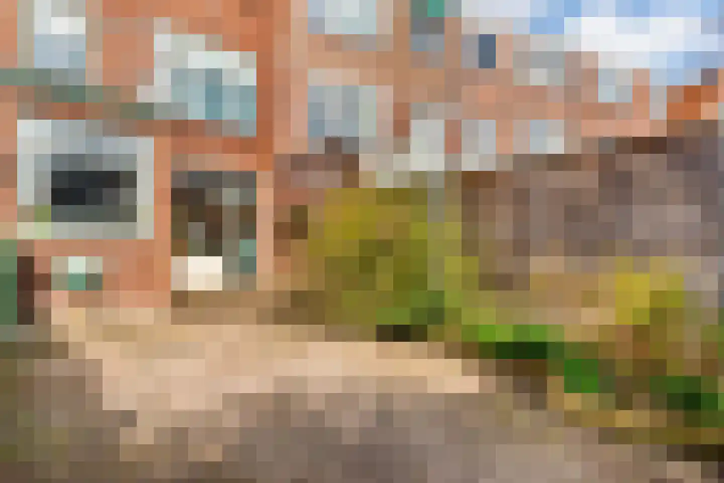 Leeuwendalersstraat 4 Haarlem thumbnail 35