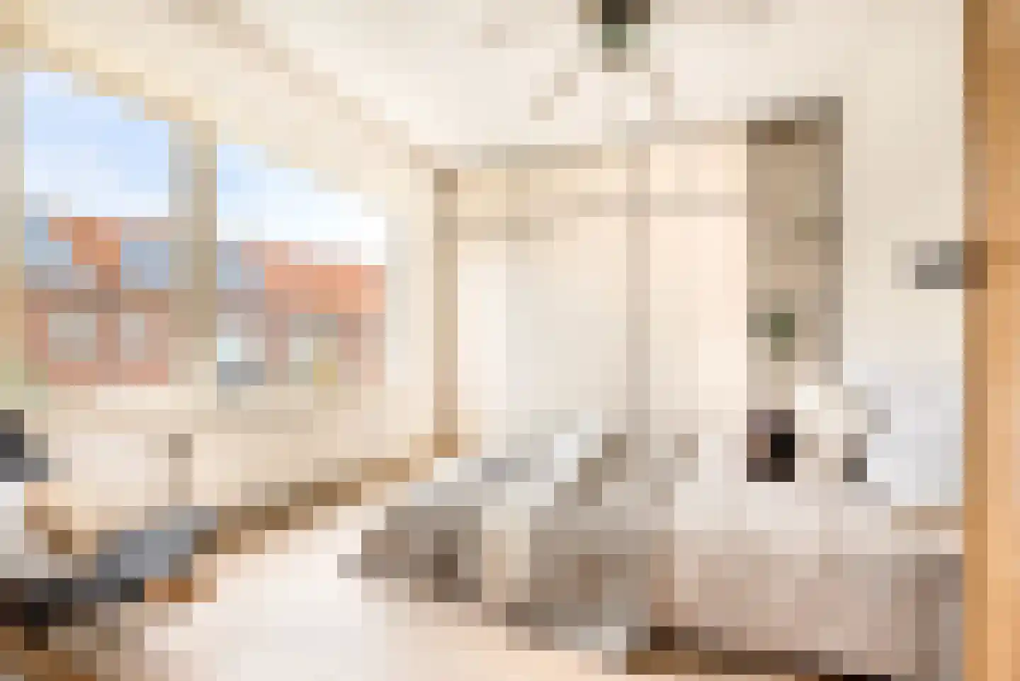Leeuwendalersstraat 4 Haarlem thumbnail 39