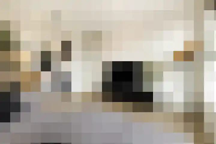 Leeuwendalersweg 103 Amsterdam thumbnail 10