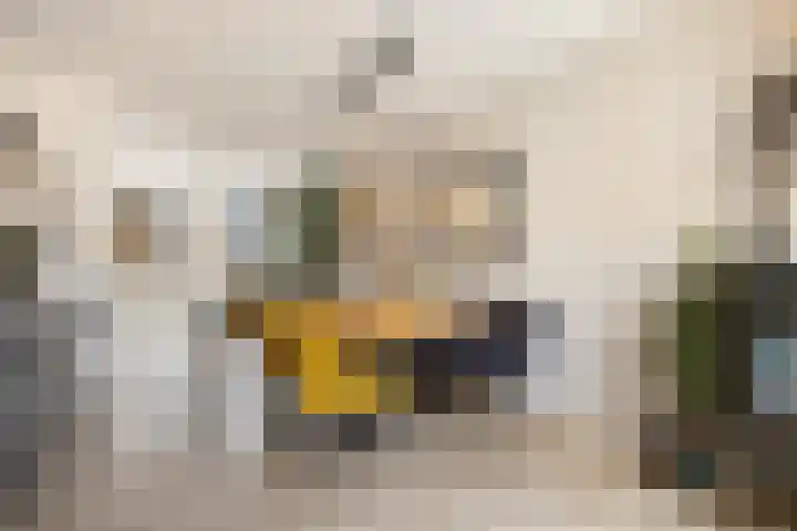Leeuwendalersweg 103 Amsterdam thumbnail 12