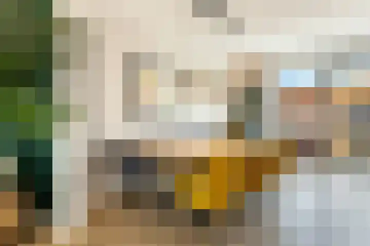 Leeuwendalersweg 103 Amsterdam thumbnail 13