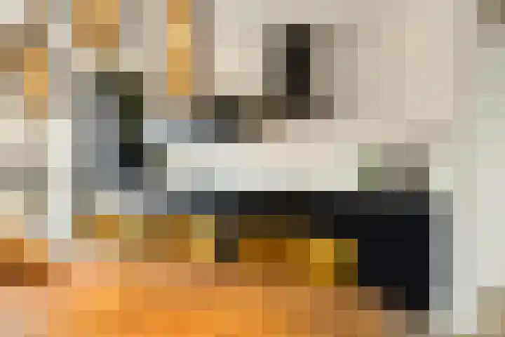 Leeuwendalersweg 103 Amsterdam thumbnail 14