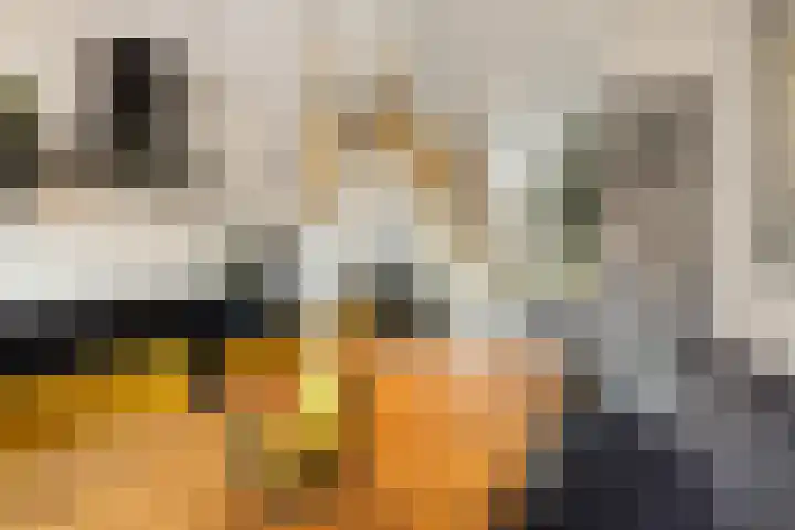 Leeuwendalersweg 103 Amsterdam thumbnail 15