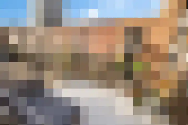 Leeuwendalersweg 103 Amsterdam thumbnail 18