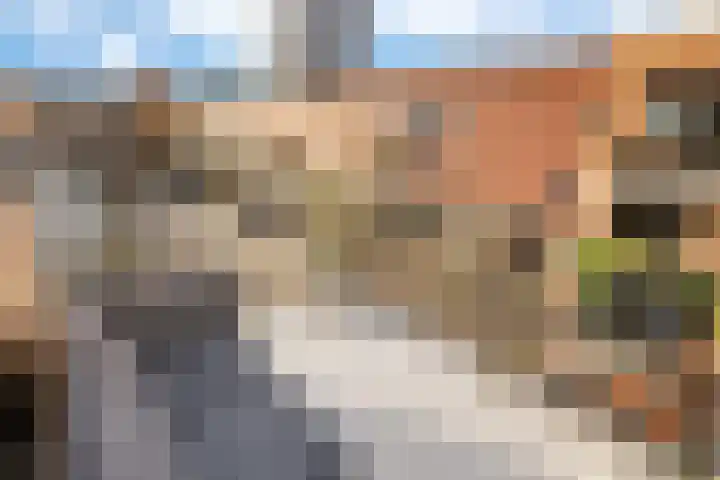 Leeuwendalersweg 103 Amsterdam thumbnail 19