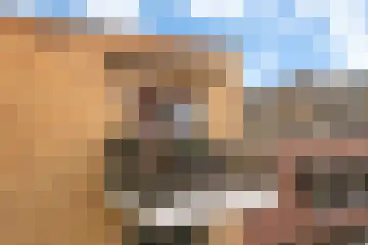 Leeuwendalersweg 103 Amsterdam thumbnail 20