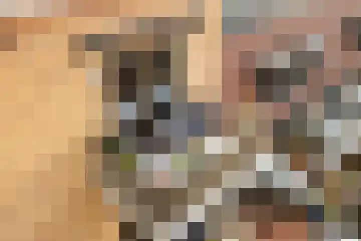 Leeuwendalersweg 103 Amsterdam thumbnail 22