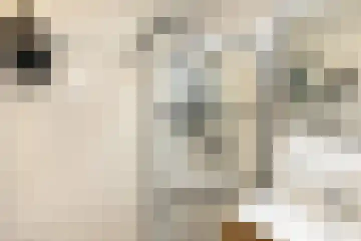 Leeuwendalersweg 103 Amsterdam thumbnail 28