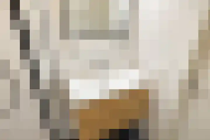 Leeuwendalersweg 103 Amsterdam thumbnail 30