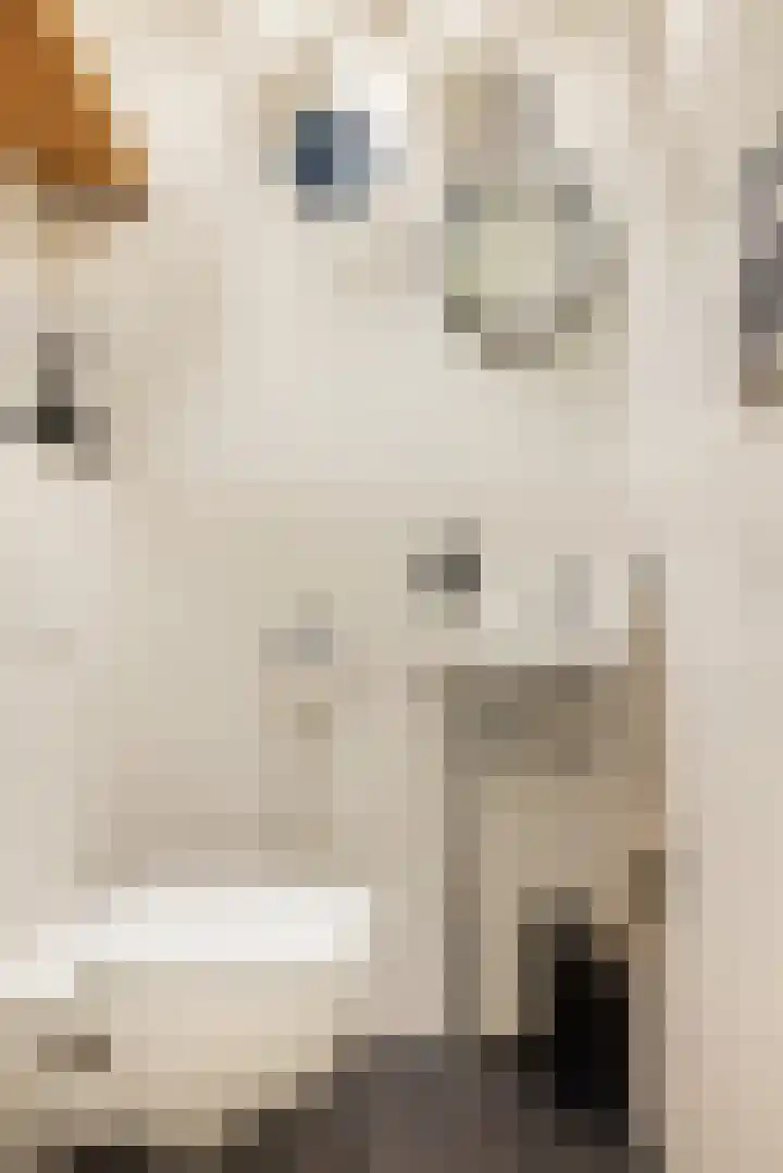 Leeuwendalersweg 103 Amsterdam thumbnail 31