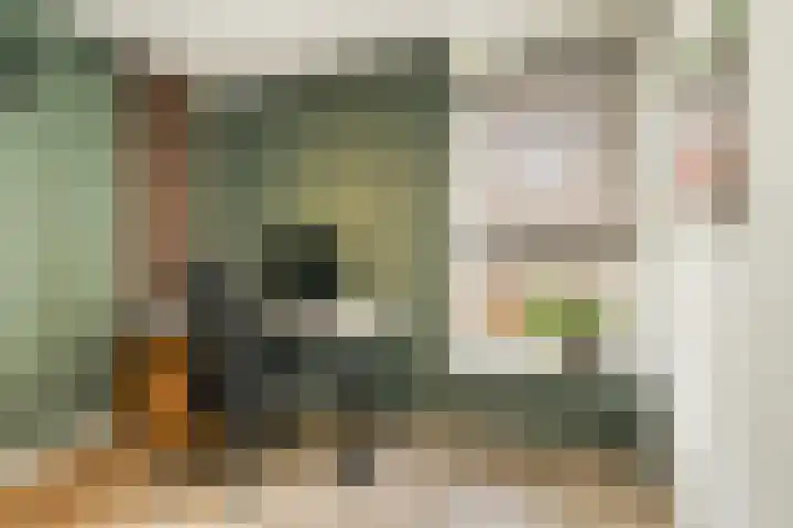 Leeuwendalersweg 103 Amsterdam thumbnail 32