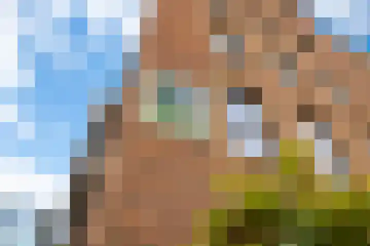 Leeuwendalersweg 103 Amsterdam thumbnail 35