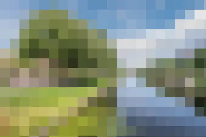 Leeuwendalersweg 103 Amsterdam thumbnail 37