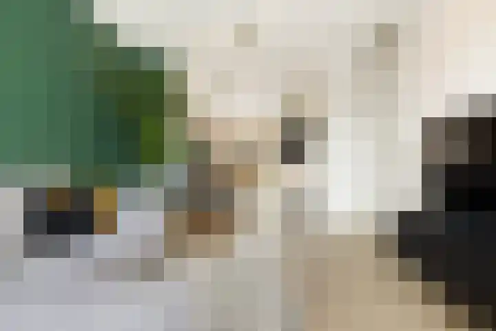 Leeuwendalersweg 103 Amsterdam thumbnail 8