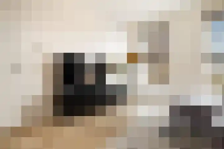 Leeuwendalersweg 103 Amsterdam thumbnail 9