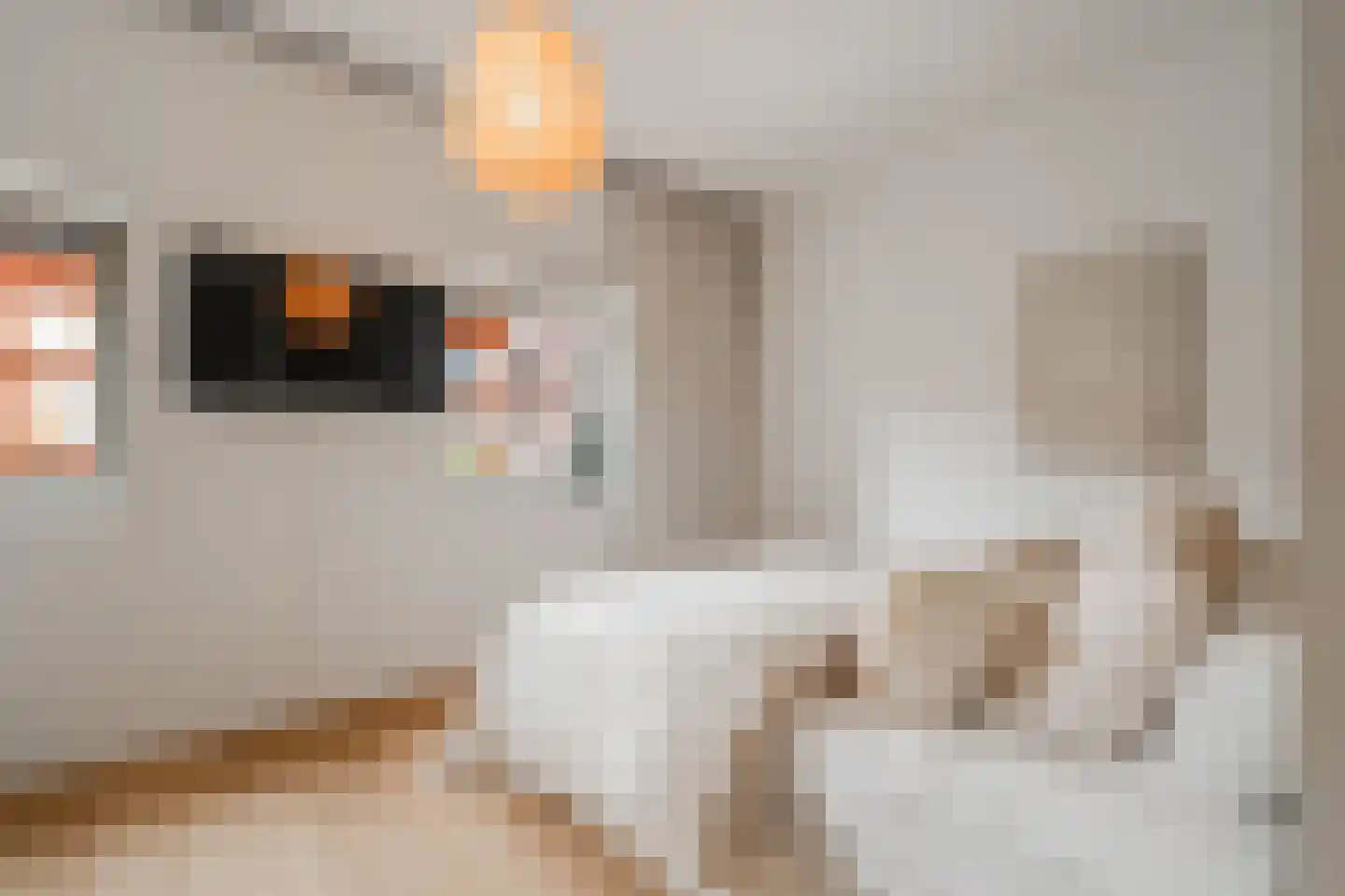 Leeuwendalersweg 113 Amsterdam thumbnail 38