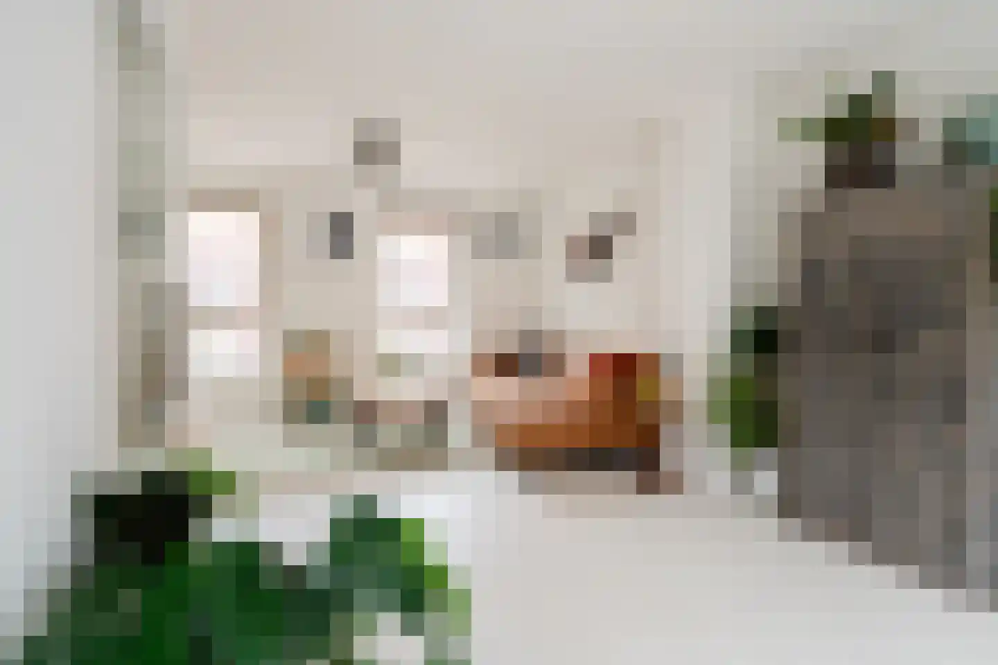 Leeuwendalersweg 129 Amsterdam thumbnail 19