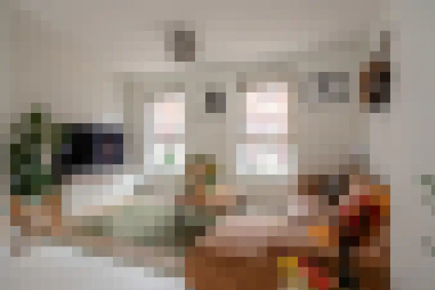 Leeuwendalersweg 129 Amsterdam thumbnail 20