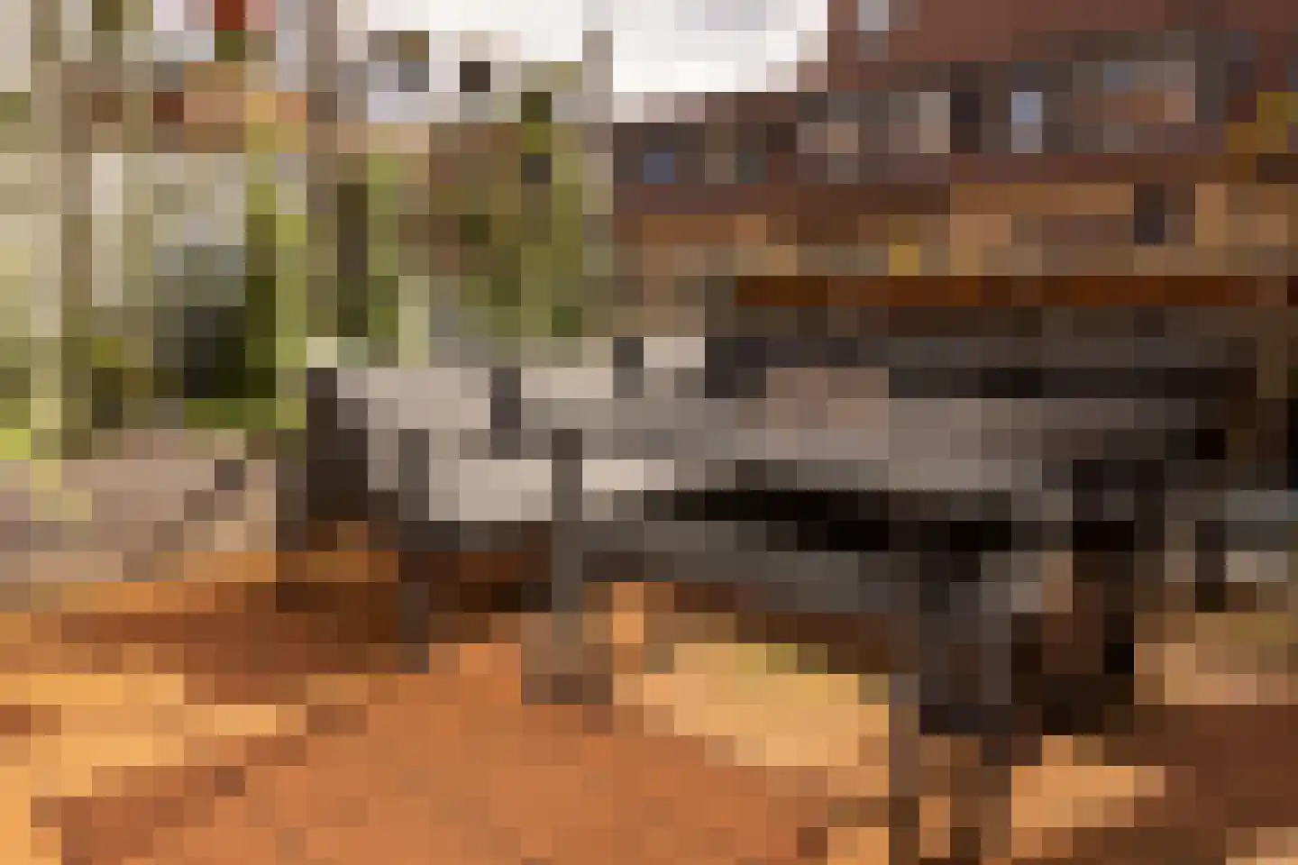 Leeuwendalersweg 129 Amsterdam thumbnail 32