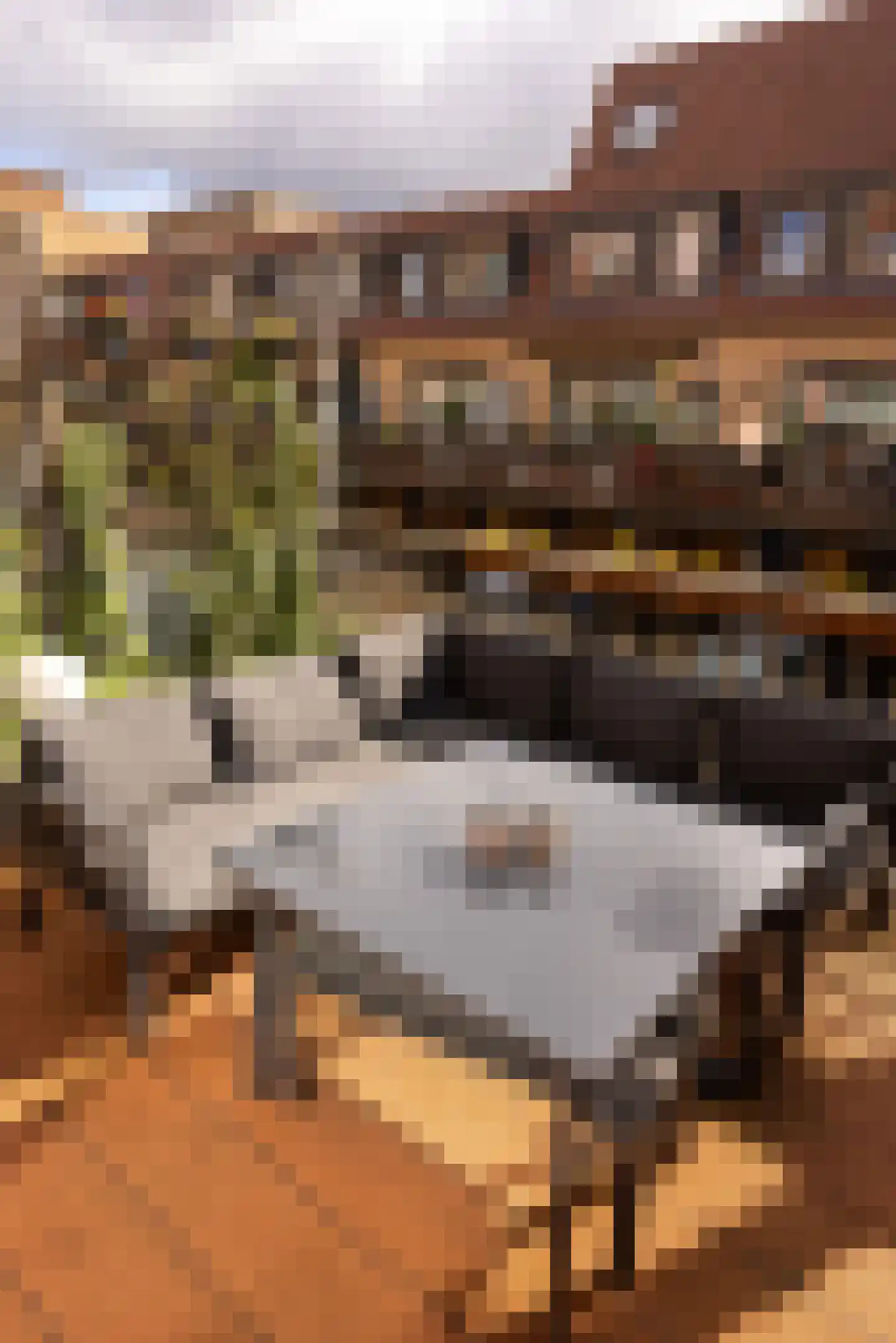 Leeuwendalersweg 129 Amsterdam thumbnail 33