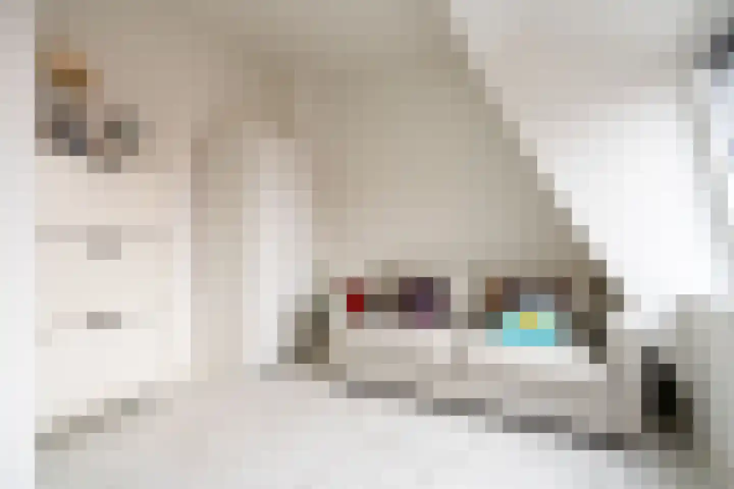 Leeuwendalersweg 129 Amsterdam thumbnail 55