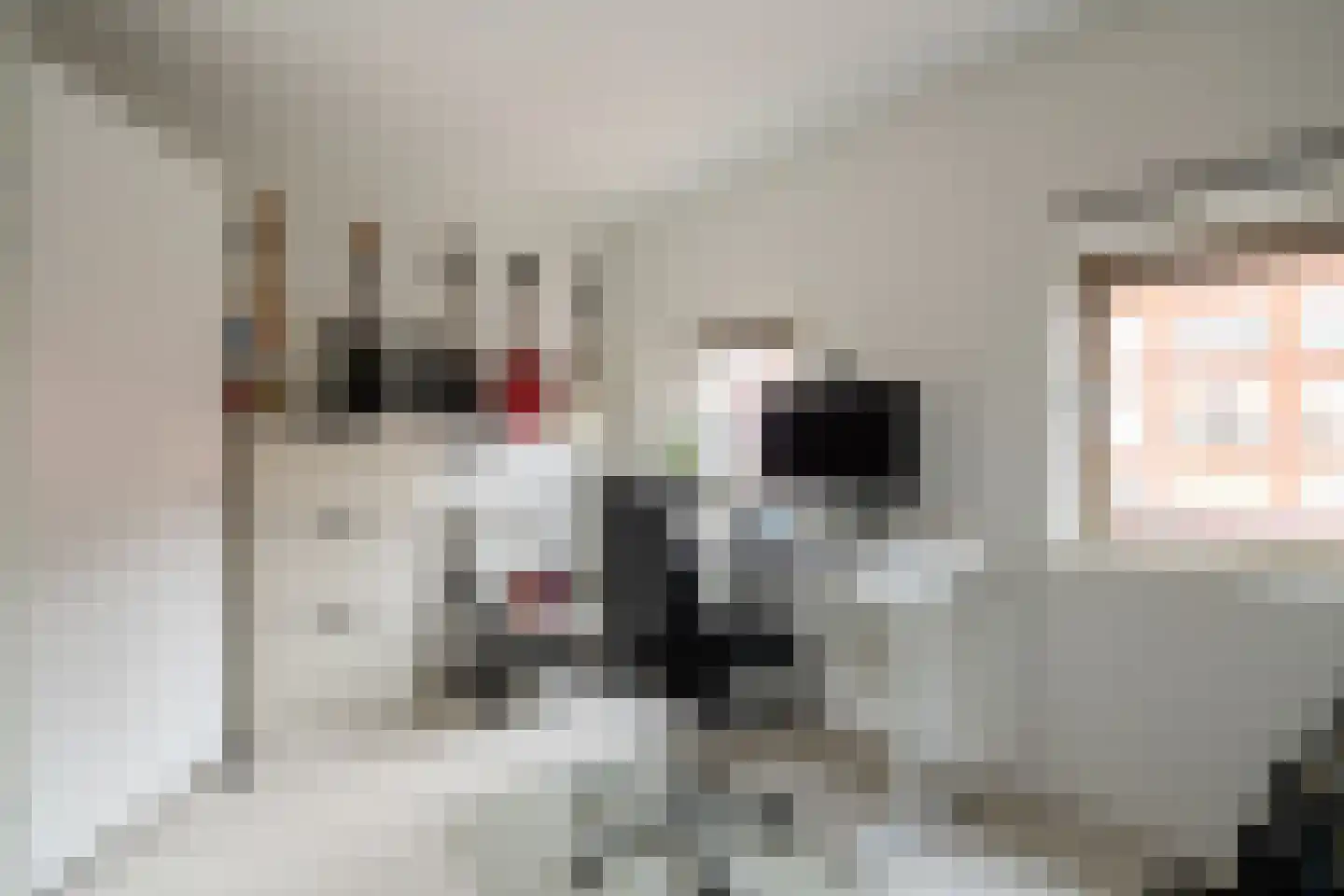 Leeuwendalersweg 129 Amsterdam thumbnail 59