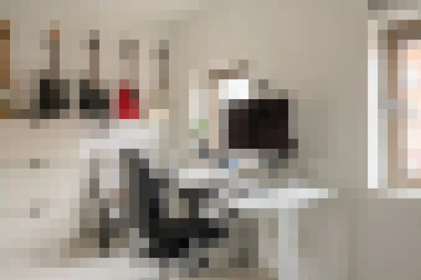 Leeuwendalersweg 129 Amsterdam thumbnail 61