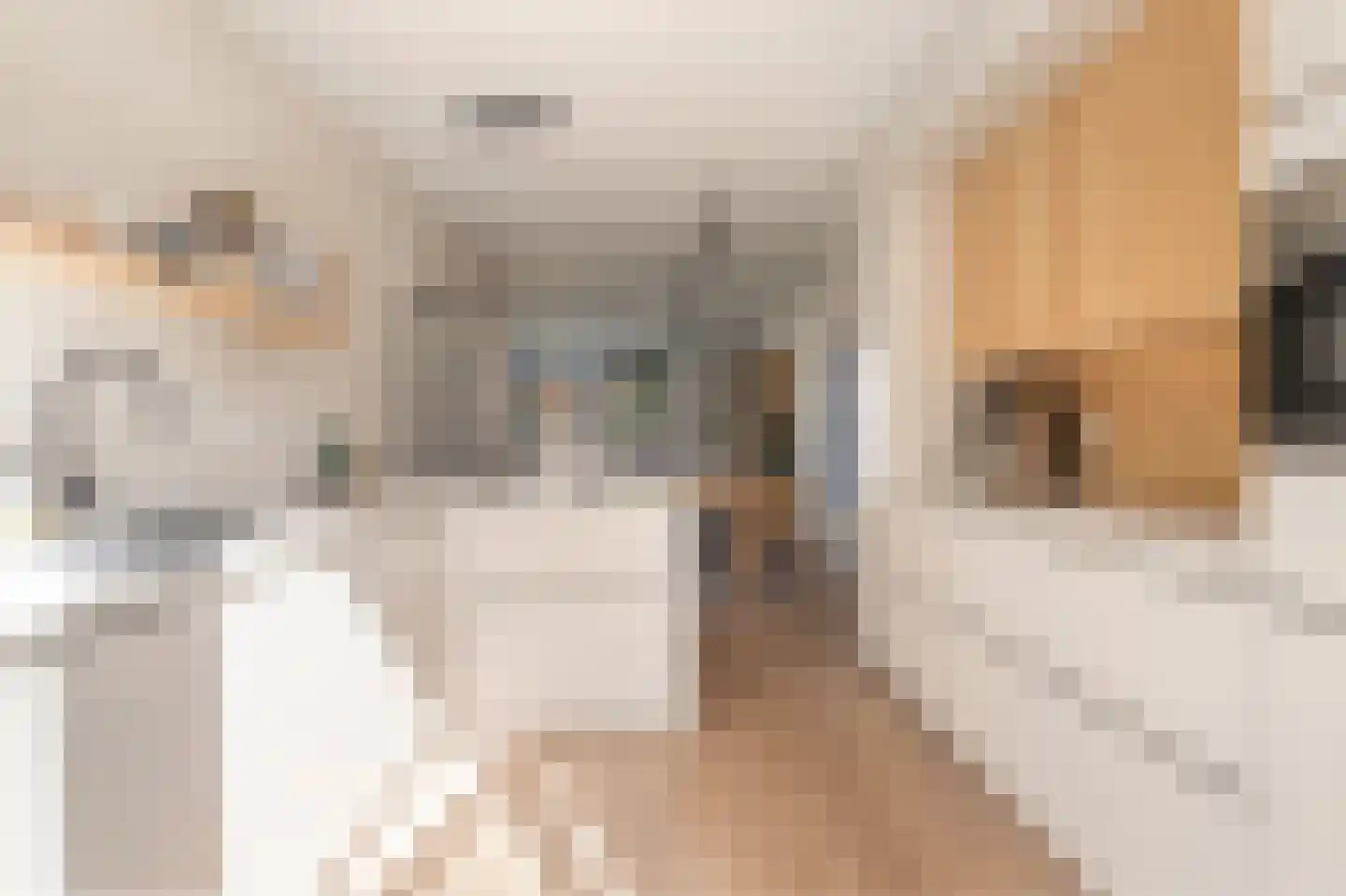 Leeuwendalersweg 5 E Amsterdam thumbnail 16