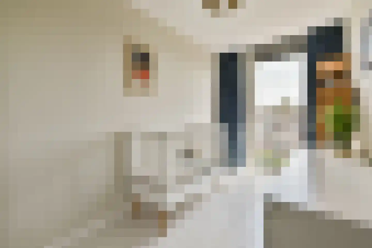 Leeuwendalersweg 5 E Amsterdam thumbnail 29
