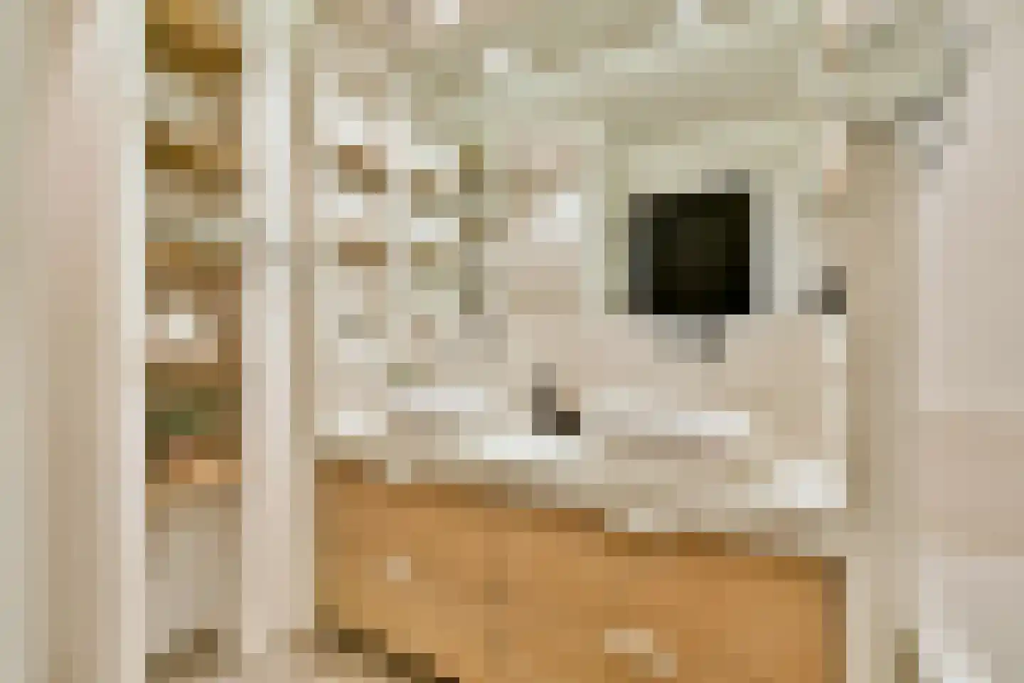 Leeuwendalersweg 5 E Amsterdam thumbnail 33
