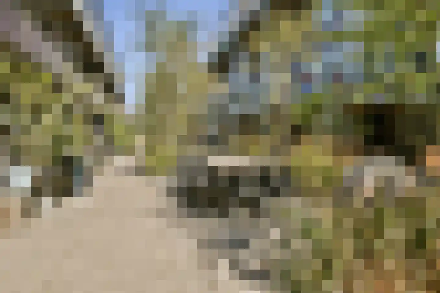 Leeuwendalersweg 5 E Amsterdam thumbnail 37