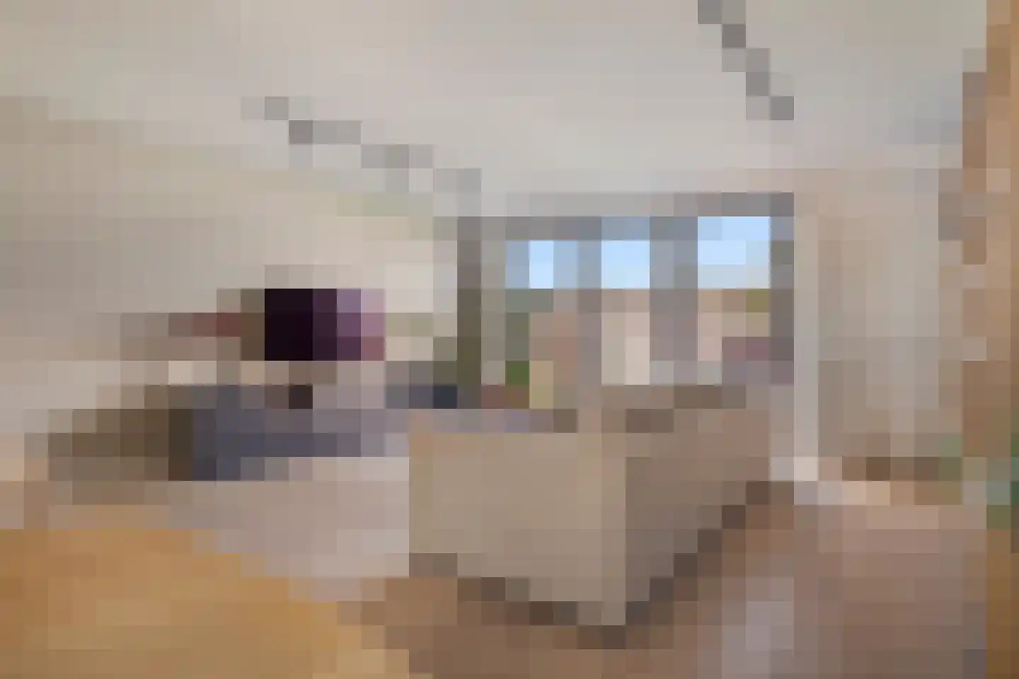 Leeuwendalersweg 5 E Amsterdam thumbnail 5