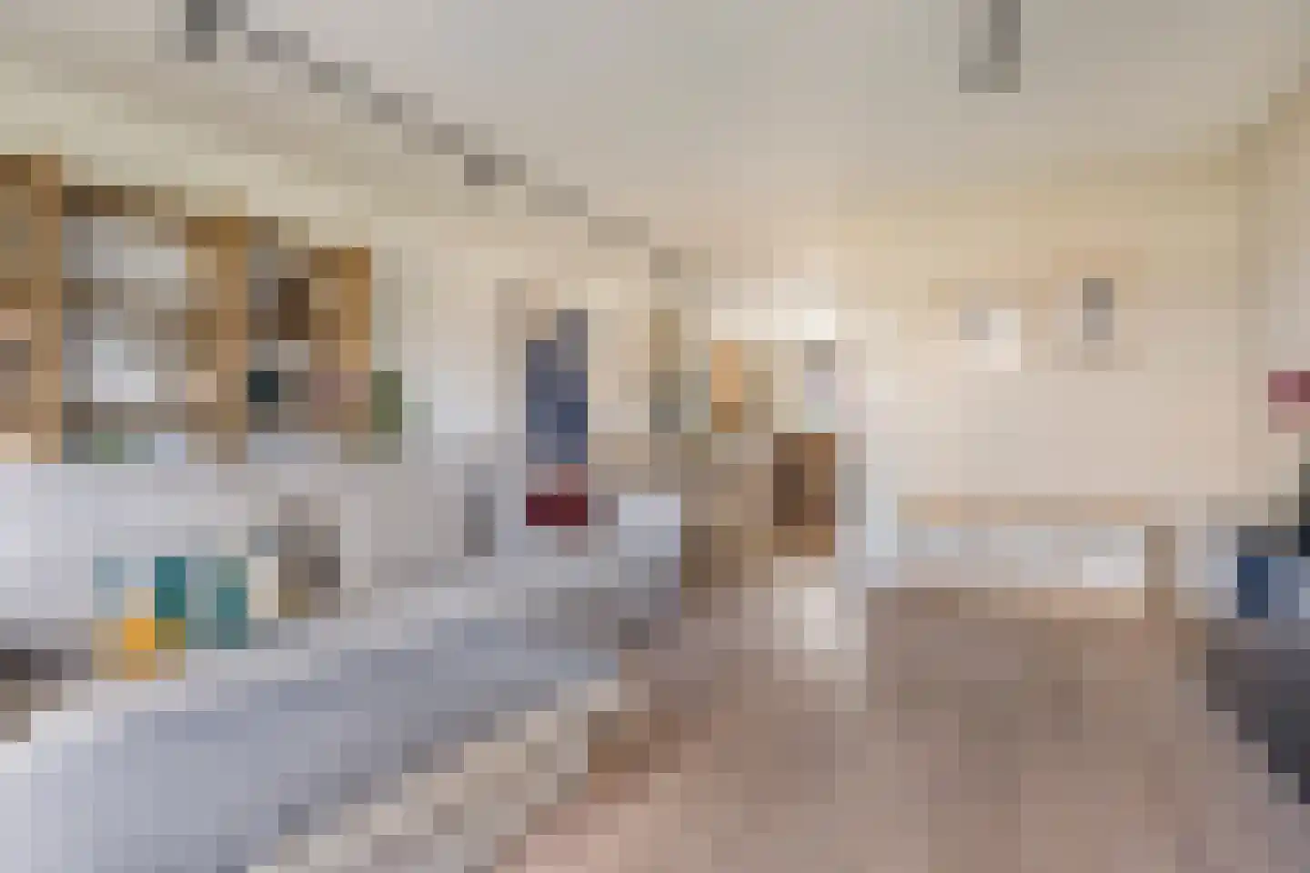 Leeuwendalersweg 5 E Amsterdam thumbnail 6
