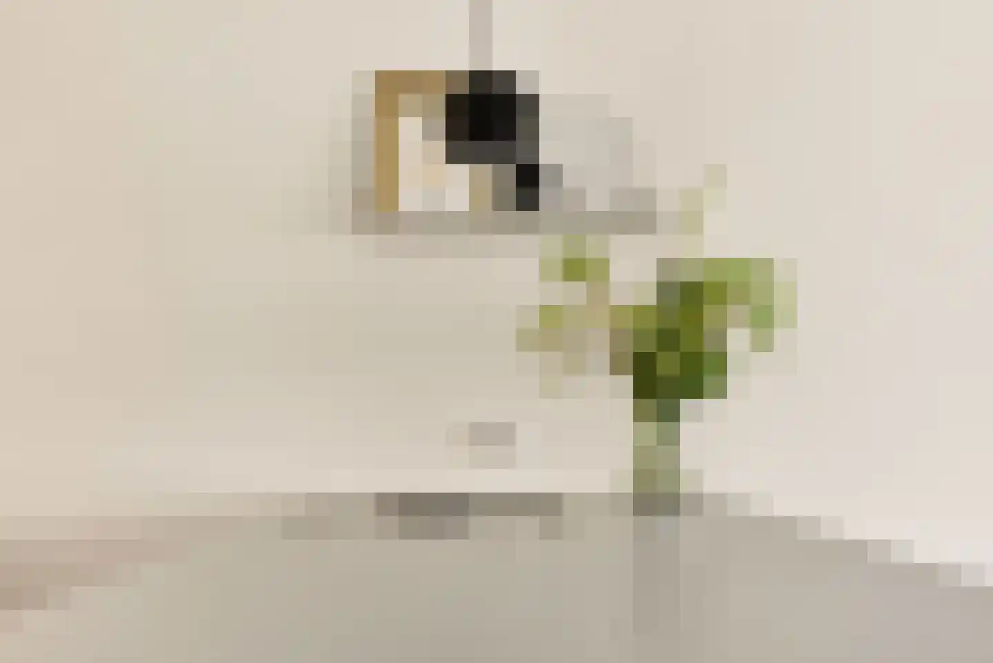 Leeuwendalersweg 614 Amsterdam thumbnail 19