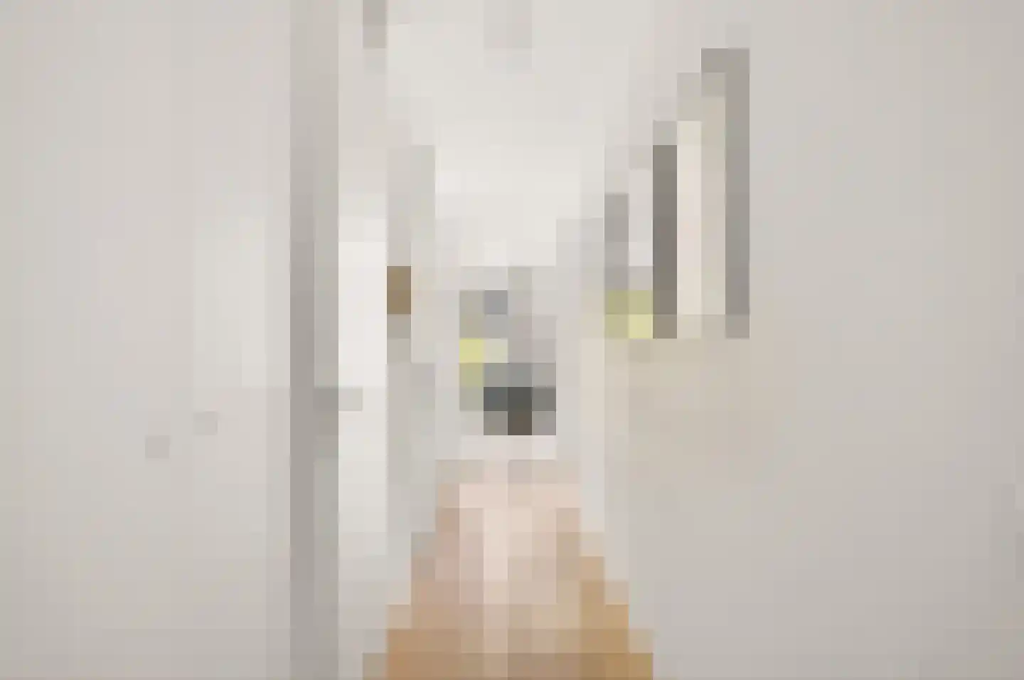 Leeuwendalersweg 614 Amsterdam thumbnail 32