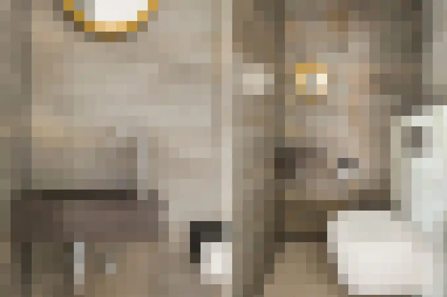 Leeuwendalersweg 614 Amsterdam thumbnail 38
