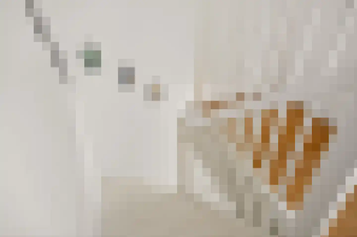 Leeuwendalersweg 614 Amsterdam thumbnail 39