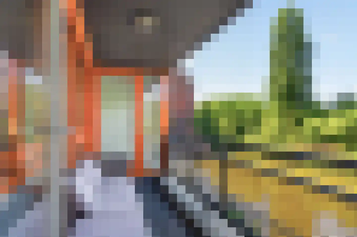 Leeuwendalersweg 614 Amsterdam thumbnail 4