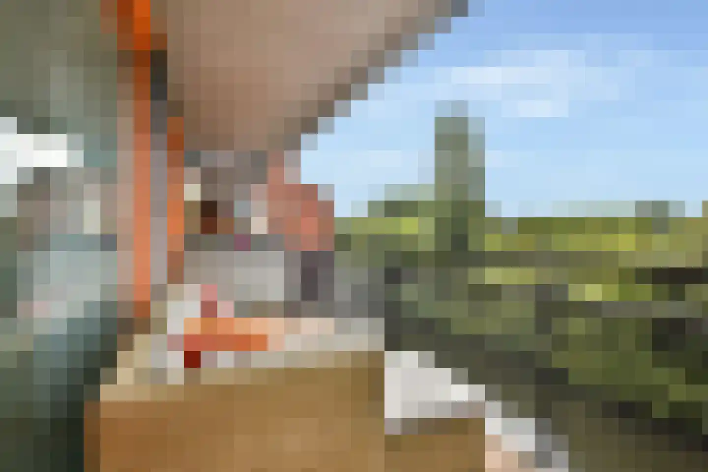 Leeuwendalersweg 630 Amsterdam thumbnail 10