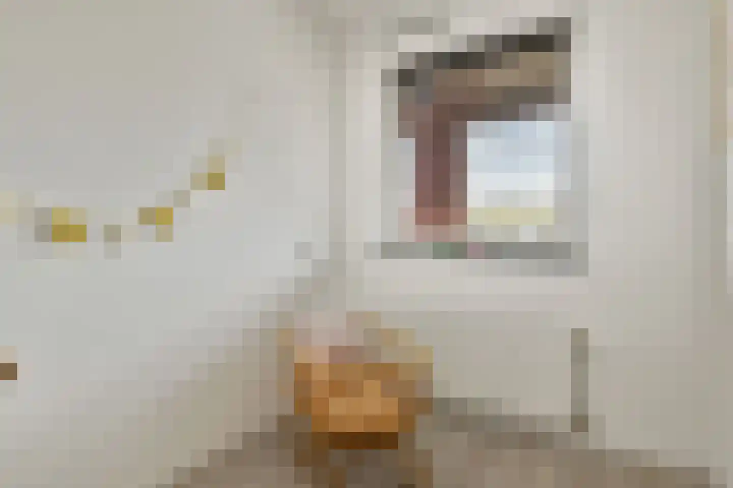 Leeuwendalersweg 630 Amsterdam thumbnail 16