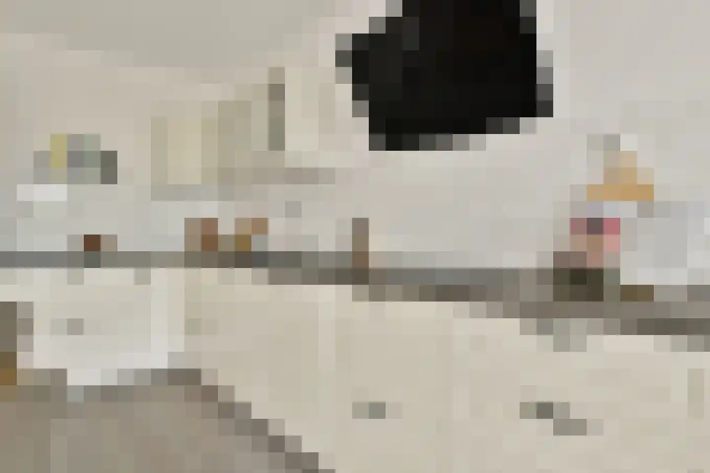 Leeuwendalersweg 630 Amsterdam thumbnail 7